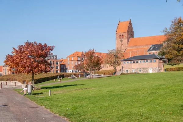 Næstved (6)
