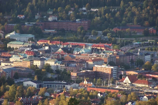 Sundsvall-Swed