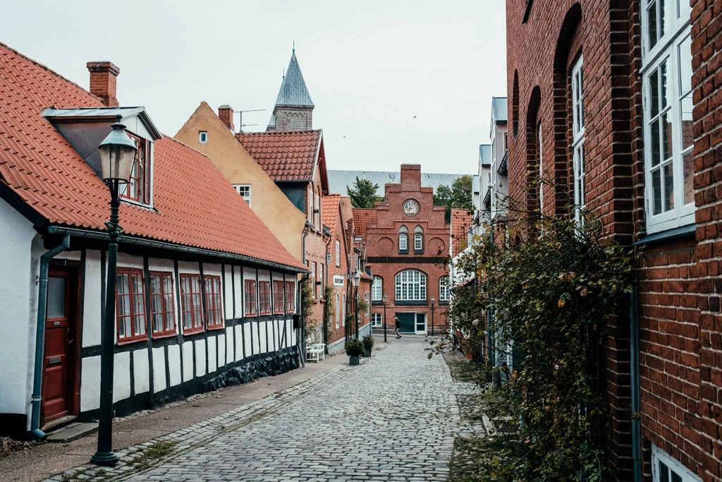 viborg_gade_foto_frame_and_work_0